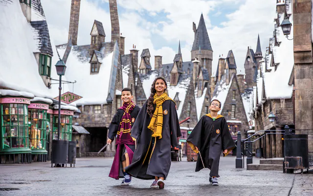 Wizarding World of Harry Potter™